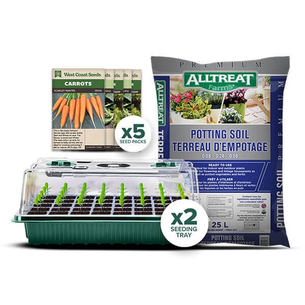 Vegetable Starter Growing Kit
